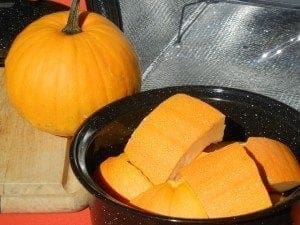 pumpkin puree