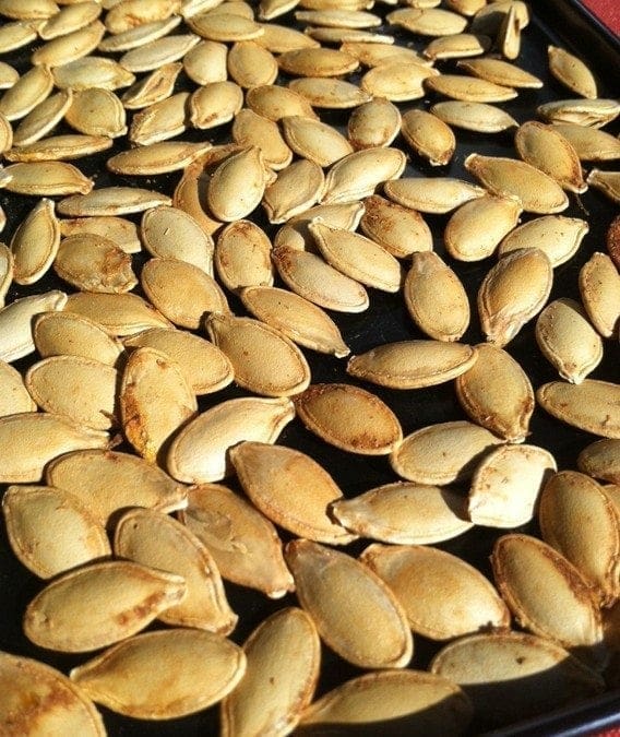 ROASTED PUMPKIN SEEDS