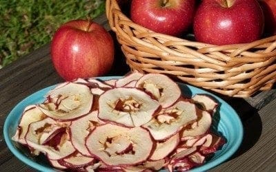 DRIED APPLES