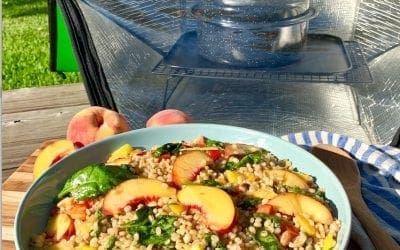 Wild Wheat Berry, Peach & Spinach Salad